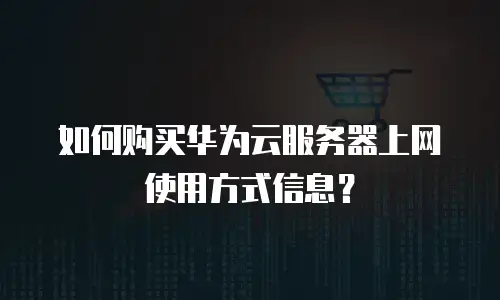 如何购买华为云服务器上网使用方式信息？