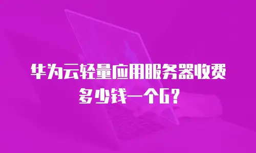 华为云轻量应用服务器收费多少钱一个G？