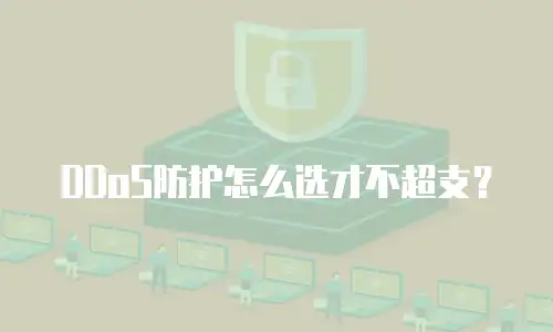 DDoS防护怎么选才不超支？