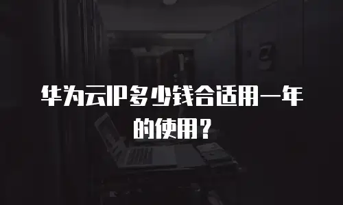 华为云IP多少钱合适用一年的使用？