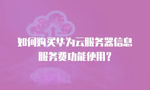 如何购买华为云服务器信息服务费功能使用？