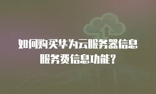 如何购买华为云服务器信息服务费信息功能？
