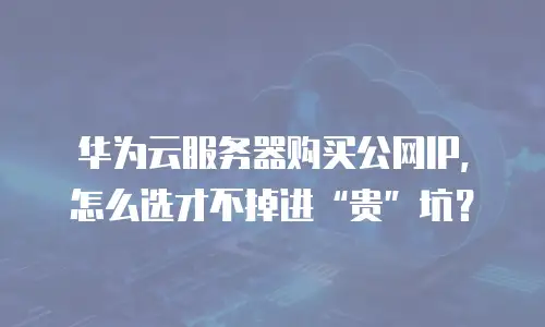 华为云服务器购买公网IP，怎么选才不掉进&ldquo;贵&rdquo;坑？