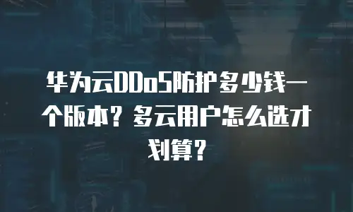 华为云DDoS防护多少钱一个版本？多云用户怎么选才划算？