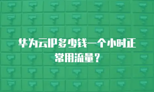 华为云IP多少钱一个小时正常用流量？