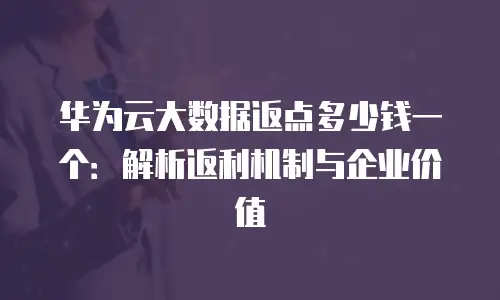 华为云大数据返点多少钱一个：解析返利机制与企业价值