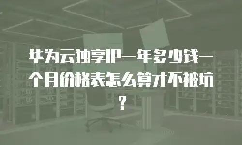 华为云独享IP一年多少钱一个月价格表怎么算才不被坑？