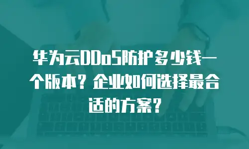 华为云DDoS防护多少钱一个版本？企业如何选择最合适的方案？