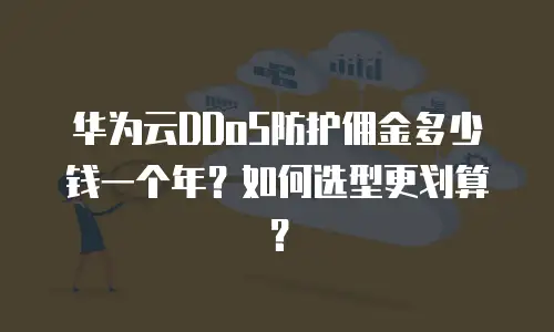 华为云DDoS防护佣金多少钱一个年？如何选型更划算？