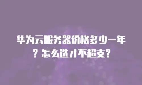 华为云服务器价格多少一年？怎么选才不超支？