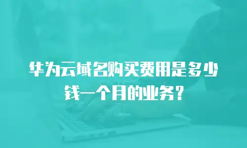 华为云域名购买费用是多少钱一个月的业务？