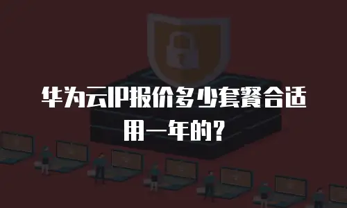 华为云IP报价多少套餐合适用一年的？