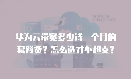 华为云带宽多少钱一个月的套餐费？怎么选才不超支？