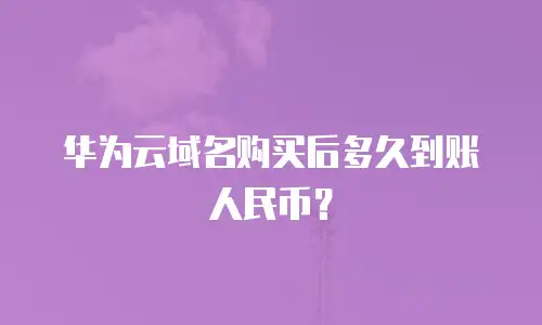华为云域名购买后多久到账人民币？