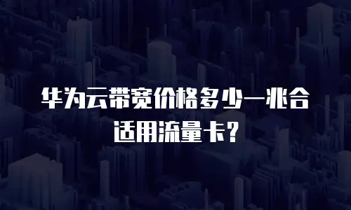 华为云带宽价格多少一兆合适用流量卡？