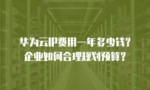 华为云IP费用一年多少钱？企业如何合理规划预算？