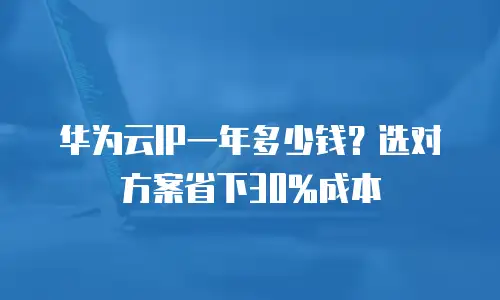 华为云IP一年多少钱？选对方案省下30%成本