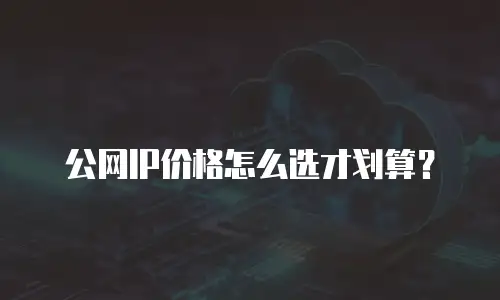 公网IP价格怎么选才划算？