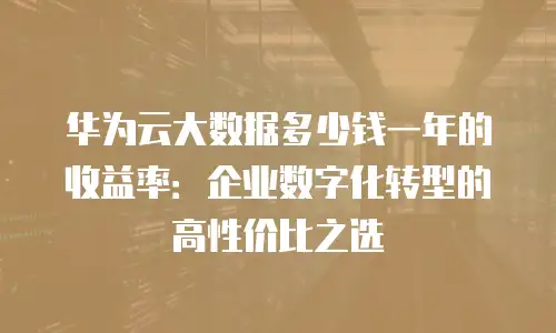 华为云大数据多少钱一年的收益率：企业数字化转型的高性价比之选