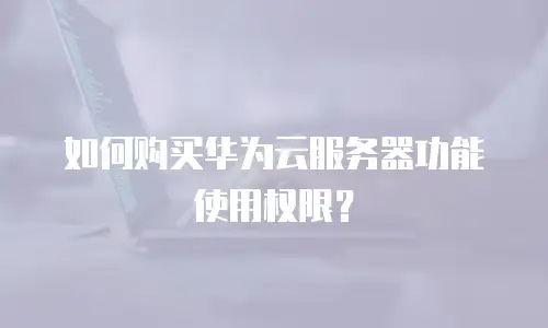 如何购买华为云服务器功能使用权限？