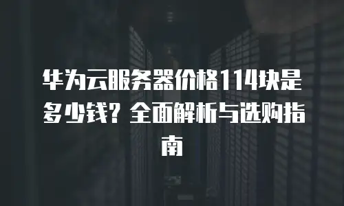 华为云服务器价格114块是多少钱？全面解析与选购指南