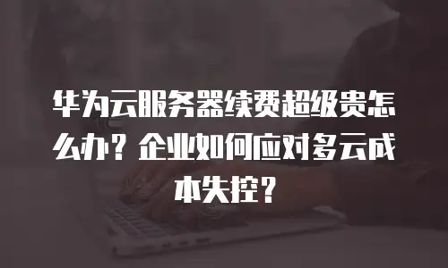 华为云服务器续费超级贵怎么办？企业如何应对多云成本失控？