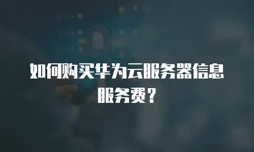 如何购买华为云服务器信息服务费？