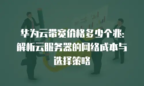 华为云带宽价格多少个兆：解析云服务器的网络成本与选择策略