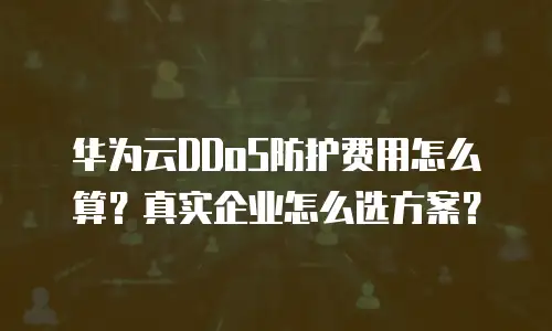 华为云DDoS防护费用怎么算？真实企业怎么选方案？
