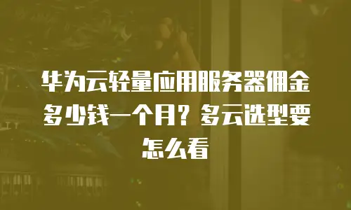 华为云轻量应用服务器佣金多少钱一个月？多云选型要怎么看