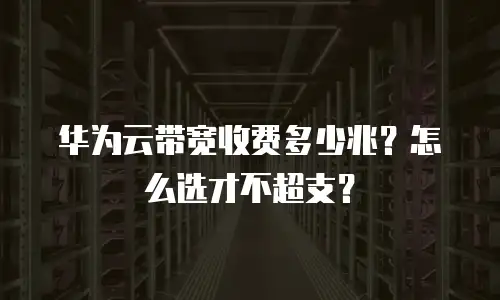华为云带宽收费多少兆？怎么选才不超支？