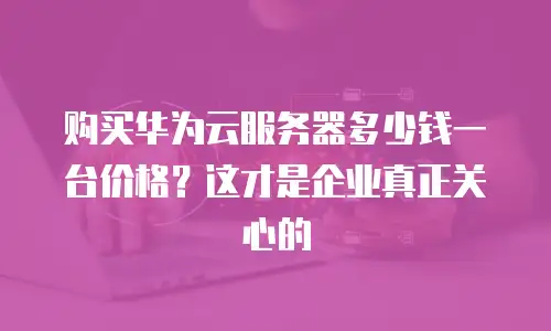 购买华为云服务器多少钱一台价格？这才是企业真正关心的