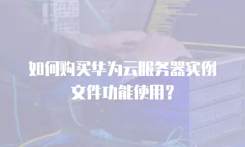 如何购买华为云服务器实例文件功能使用？