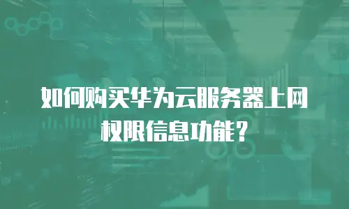 如何购买华为云服务器上网权限信息功能？