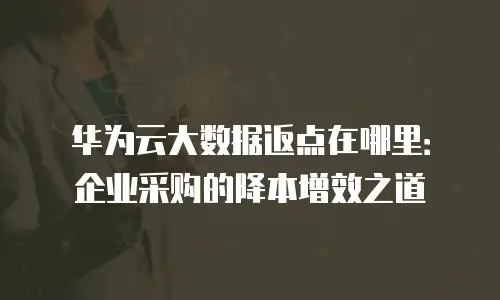 华为云大数据返点在哪里：企业采购的降本增效之道