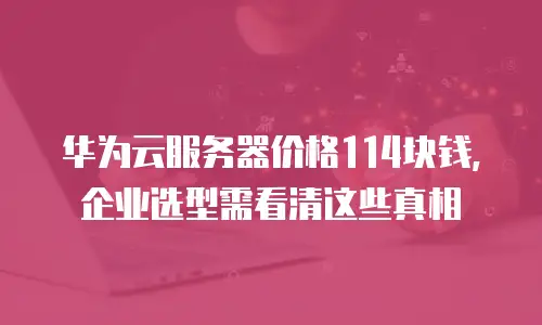 华为云服务器价格114块钱，企业选型需看清这些真相