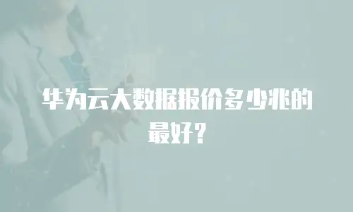 华为云大数据报价多少兆的最好？