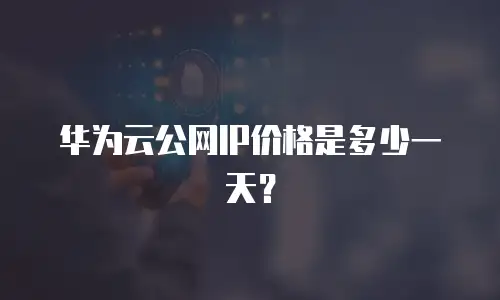 华为云公网IP价格是多少一天？