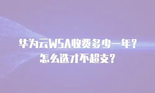 华为云WSA收费多少一年？怎么选才不超支？