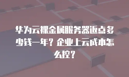 华为云裸金属服务器返点多少钱一年？企业上云成本怎么控？