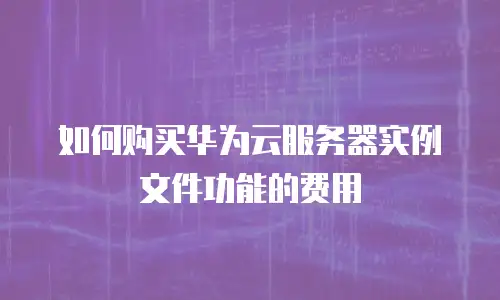 如何购买华为云服务器实例文件功能的费用