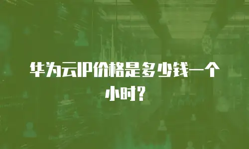 华为云IP价格是多少钱一个小时？