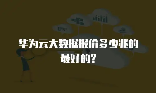 华为云大数据报价多少兆的最好的？