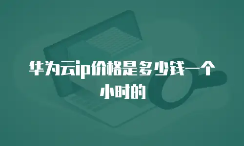 华为云ip价格是多少钱一个小时的