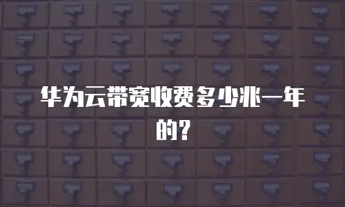 华为云带宽收费多少兆一年的？