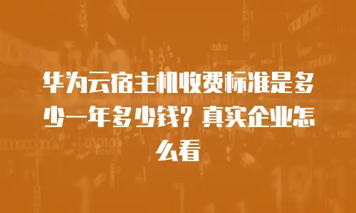华为云宿主机收费标准是多少一年多少钱？真实企业怎么看