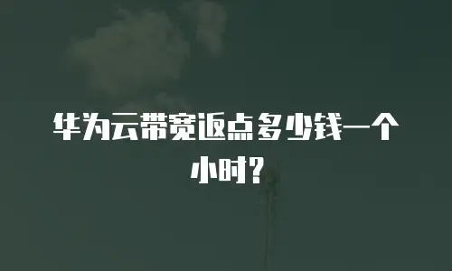 华为云带宽返点多少钱一个小时？