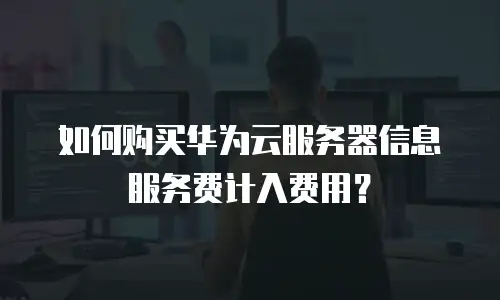 如何购买华为云服务器信息服务费计入费用？