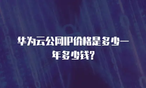 华为云公网IP价格是多少一年多少钱？