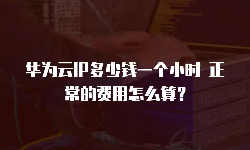 华为云IP多少钱一个小时 正常的费用怎么算？